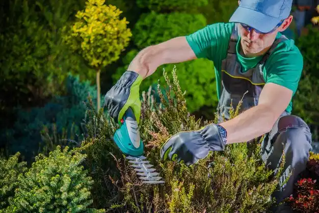 landscaping services Colfax